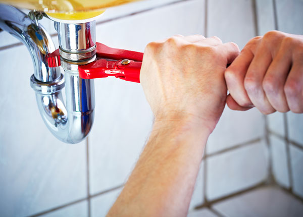 About Lavelle Plumbers